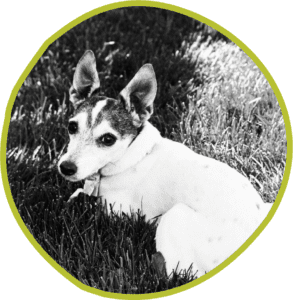 paige is my number one graphic design must have