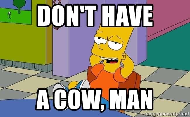 when you're branding for older adults take language into consideration